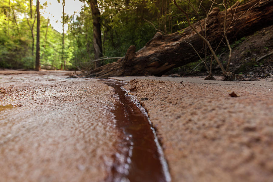 Providence Canyon 5 Photograph by Kenny Thomas