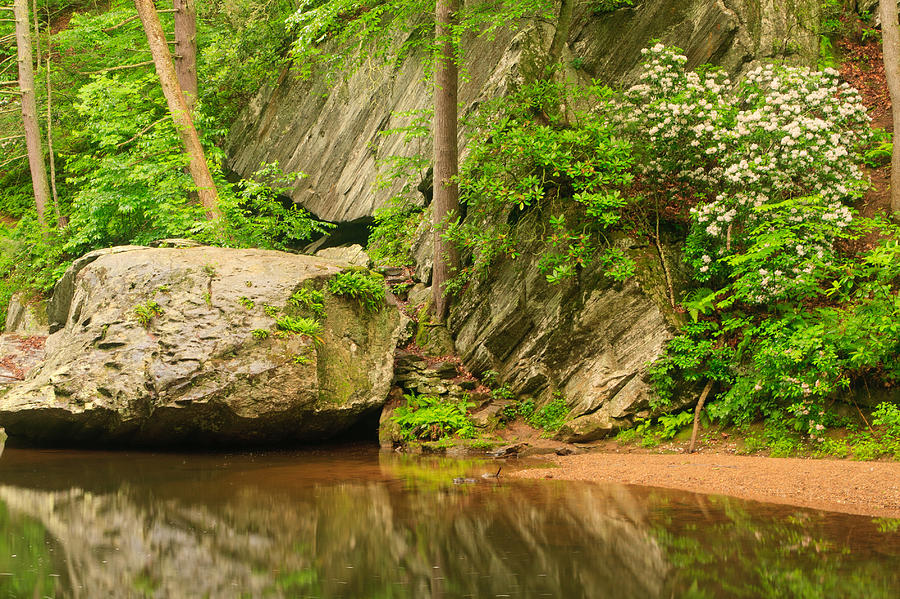 Rainy Evening on the Pond 2 Photograph by Rob Narwid