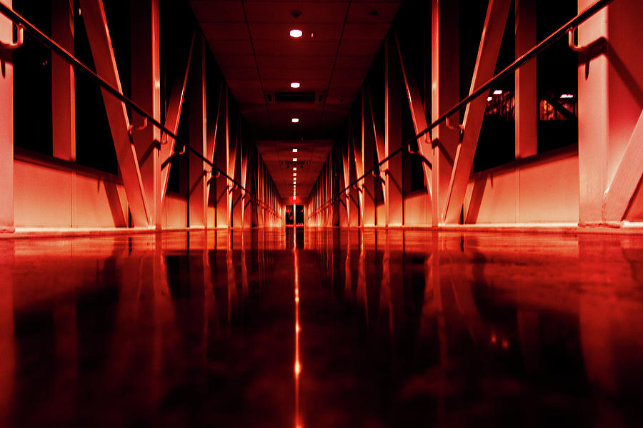 Red Alert Photograph by Kenny Thomas