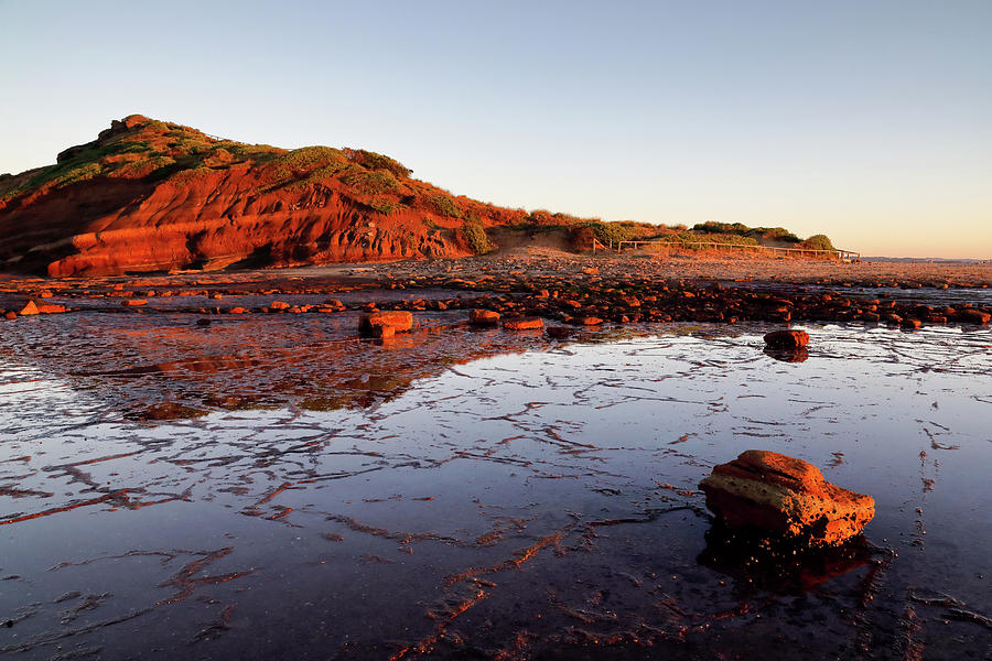 Rock Shelf at Long Reef 2 Photograph by Nicholas Blackwell
