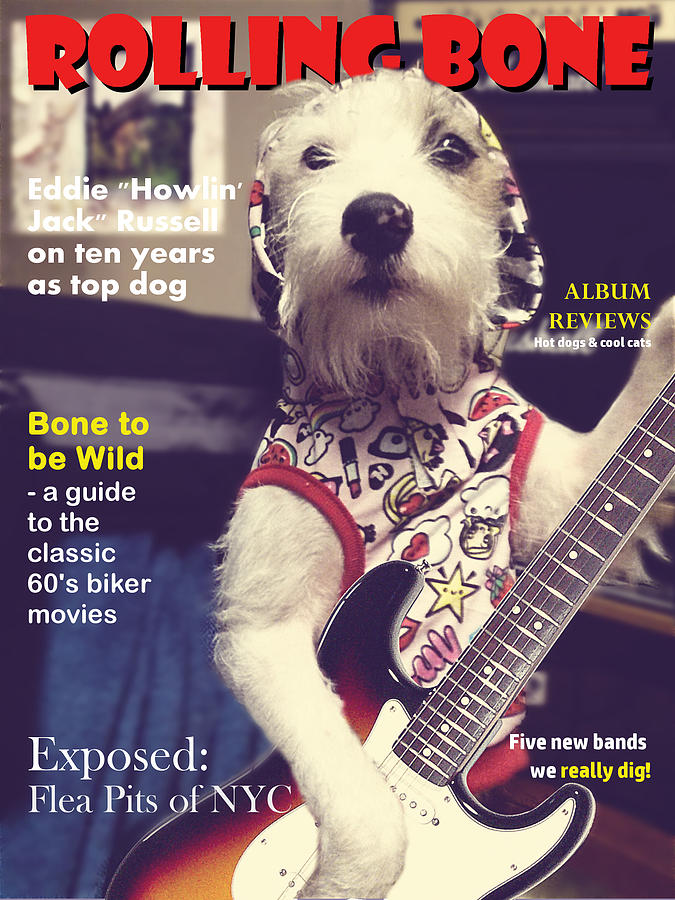 Rolling Bone Magazine Photograph by Richard Reeve