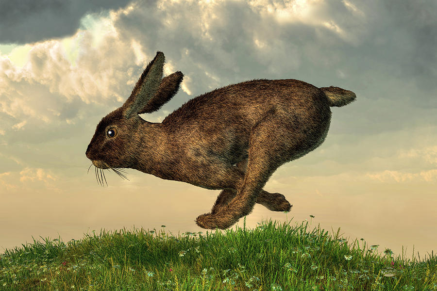 Running Rabbit by Daniel Eskridge