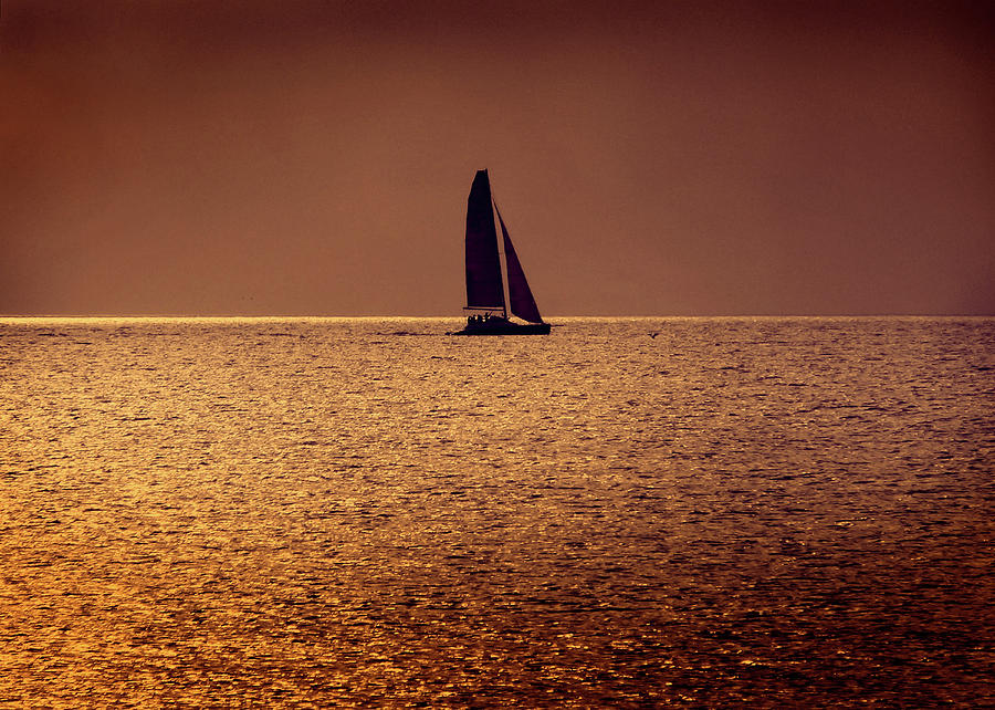 Sailboat at Sunset Photograph - Sailing by Steven Sparks