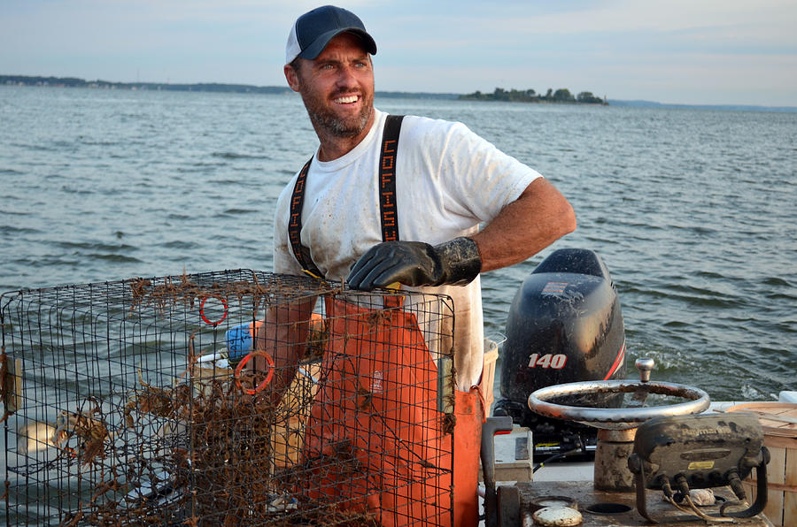 Scouting the Seas Photograph by La Dolce Vita