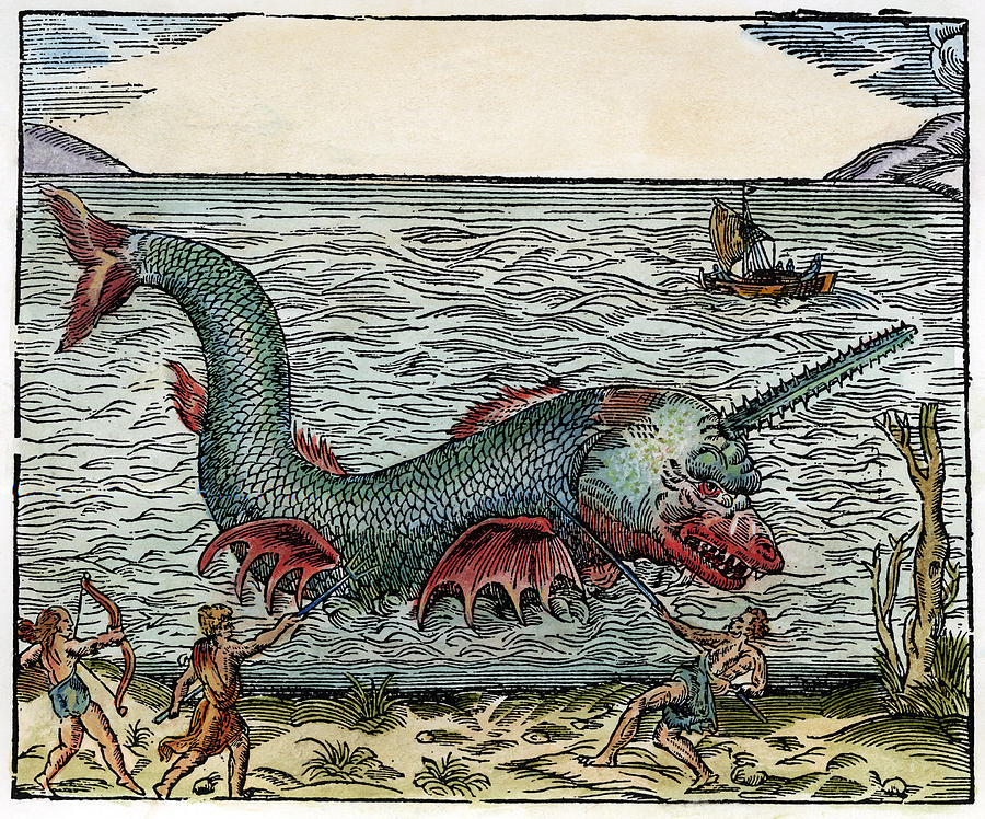 SEA MONSTER, 16th CENTURY by Granger