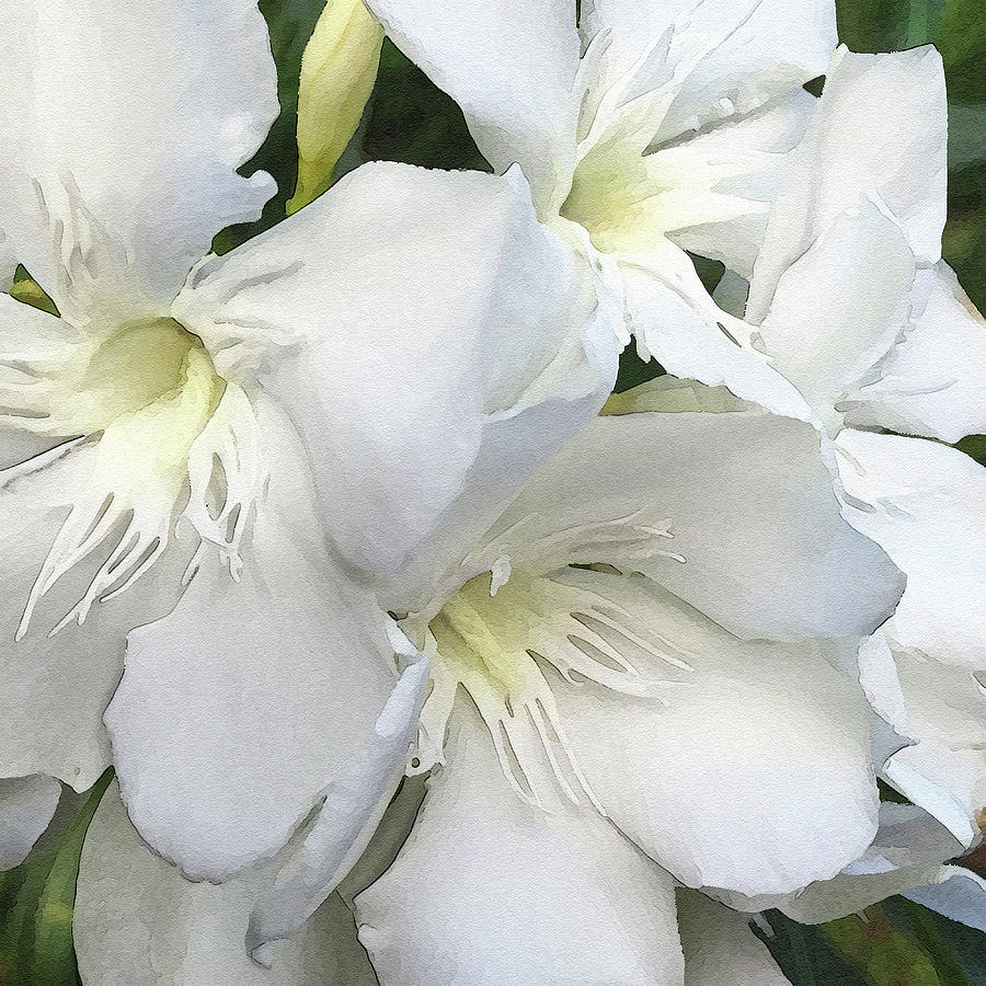 Sentimental Journey Digital Art by Gina Harrison