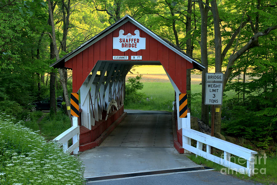 Shaffer Bridge in Summer Light Photograph - Shaffer Bridge In Somerset County by Adam Jewell