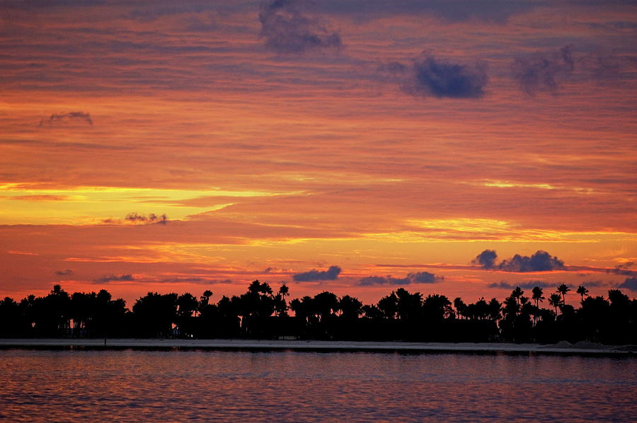 Silhouetted palm lined beach against an impressive sunset Photograph by Sami Sarkis Photography