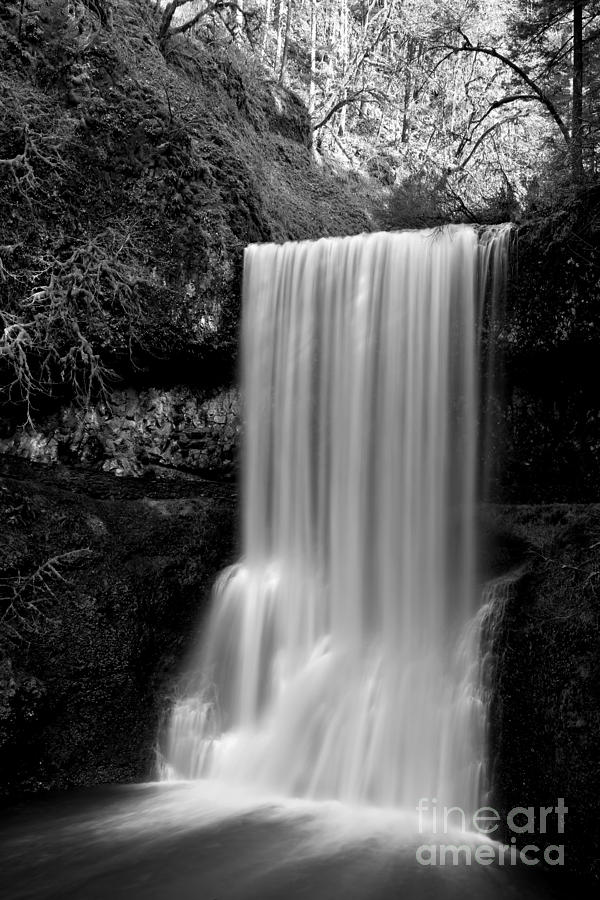 Serene Forest Waterfall Photograph - Silver Falls Lower South Black And White by Adam Jewell