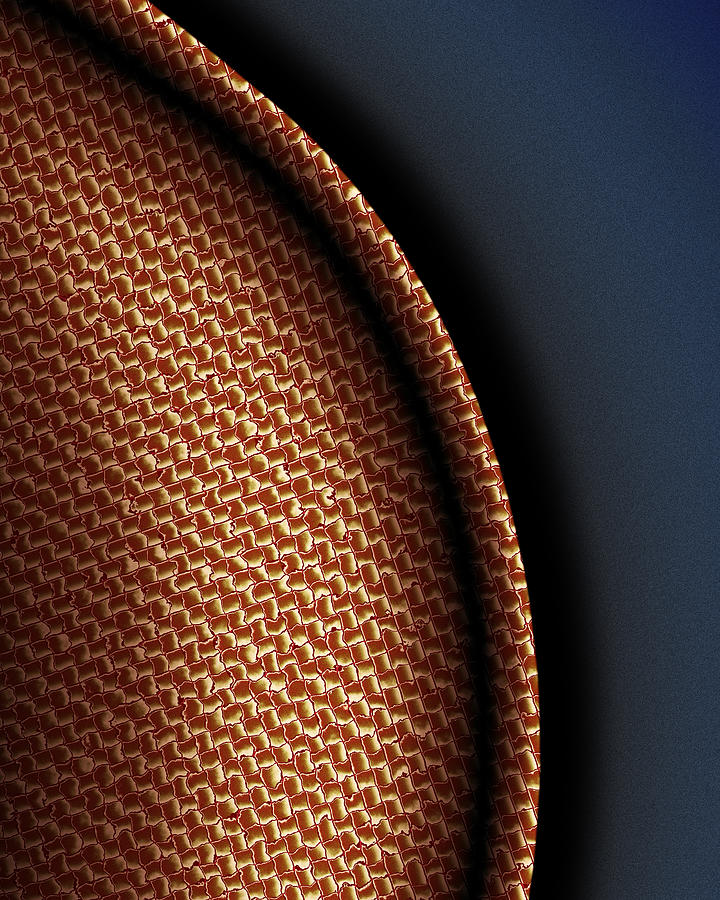 Simple Pleasures Digital Art by Vic Eberly