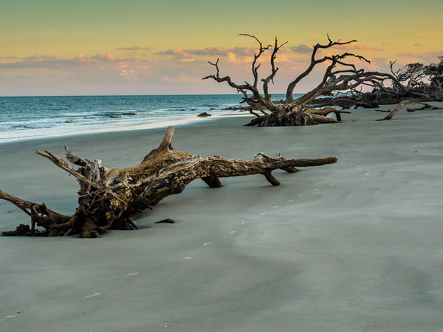 Driftwood Beach at Sunset Photograph - Sunset on Jekyll Island by Louis Dallara