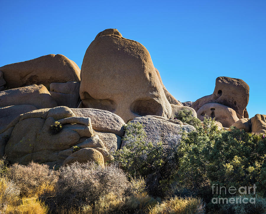 Skull Rock #2 Joshua Tree Photograph by Blake Webster