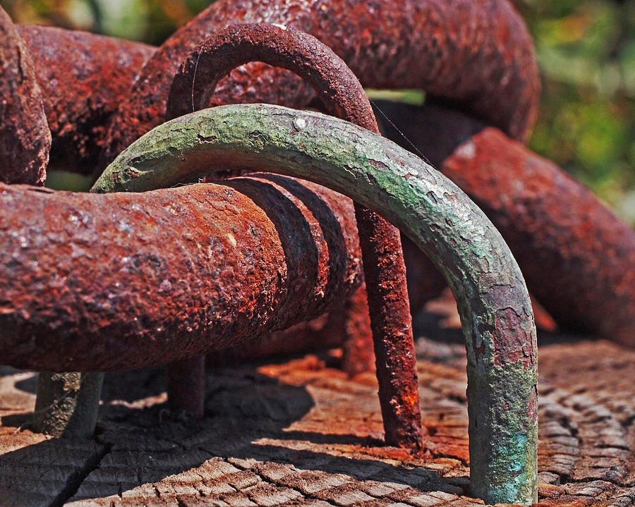 Snaking Rust Photograph by Rona Black