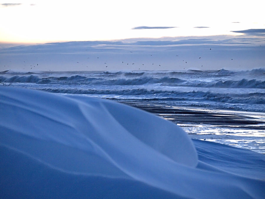 Snow Dunes Photograph by Robert Newman