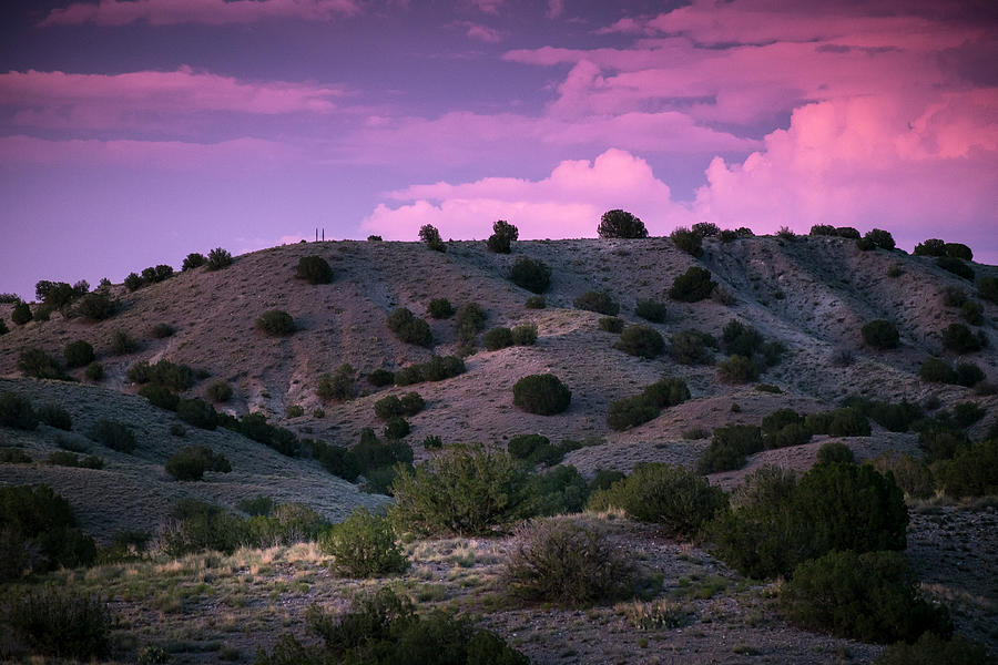Sometimes Skies Really Are Pink Photograph by Mary Lee Dereske