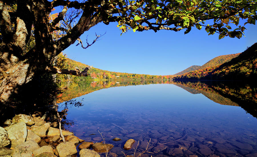 Somewhere in Cape Breton Photograph by Alberto Audisio