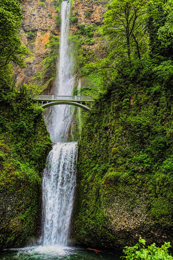 Spring at Multnomah Falls Photograph by Dale Kauzlaric