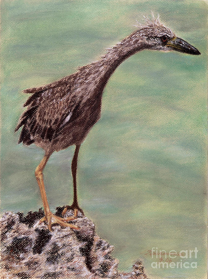 Stranded Pastel by Roshanne Minnis-Eyma