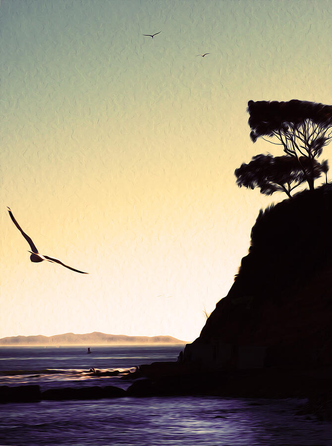 Seaside Cliff at Sunset Photograph - Suenos de Cabrillo Beach. San Pedro, California. by Joe Schofield