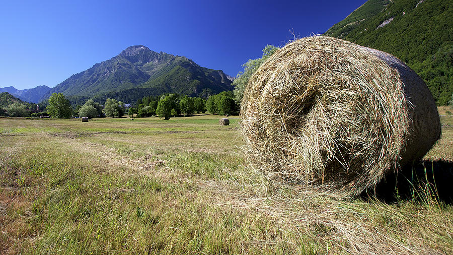 Summertime in the Alps Photograph by Alberto Audisio