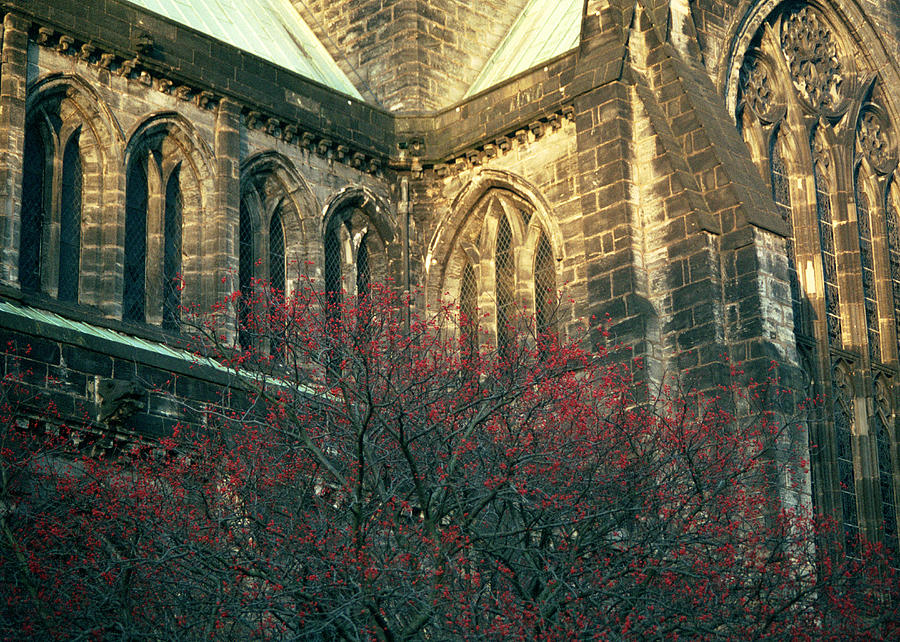 Sunlit Glasgow Cathedral Photograph by Kenneth Campbell