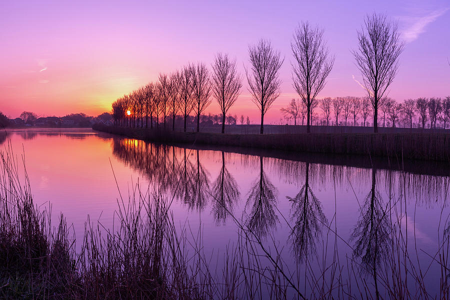 Sunrise in Holland Photograph by Sue Leonard