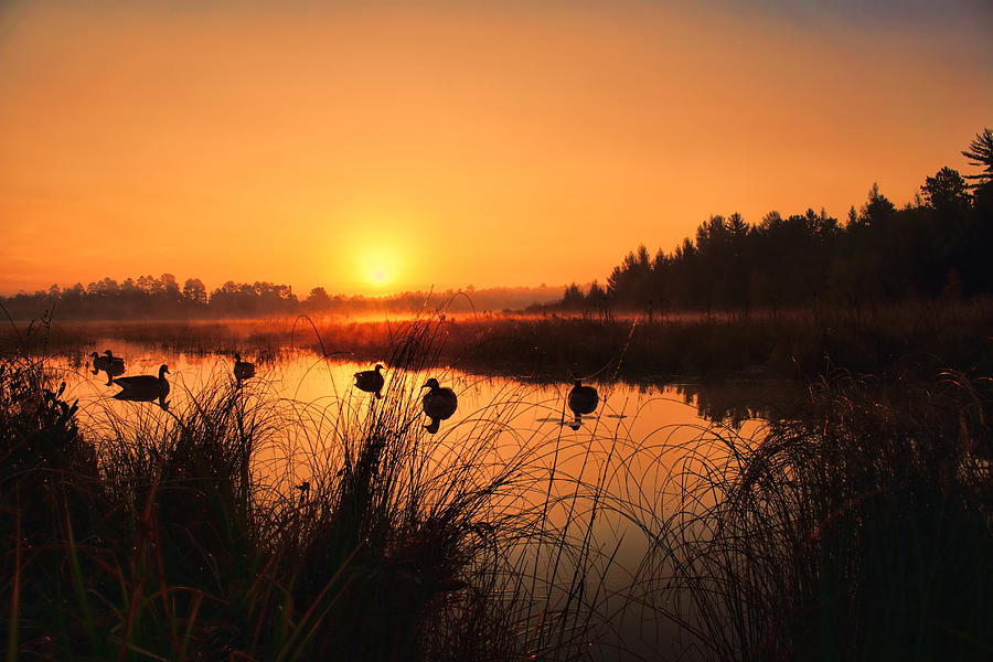 Sunrise Waterfowl Hunt Photograph by Dale Kauzlaric