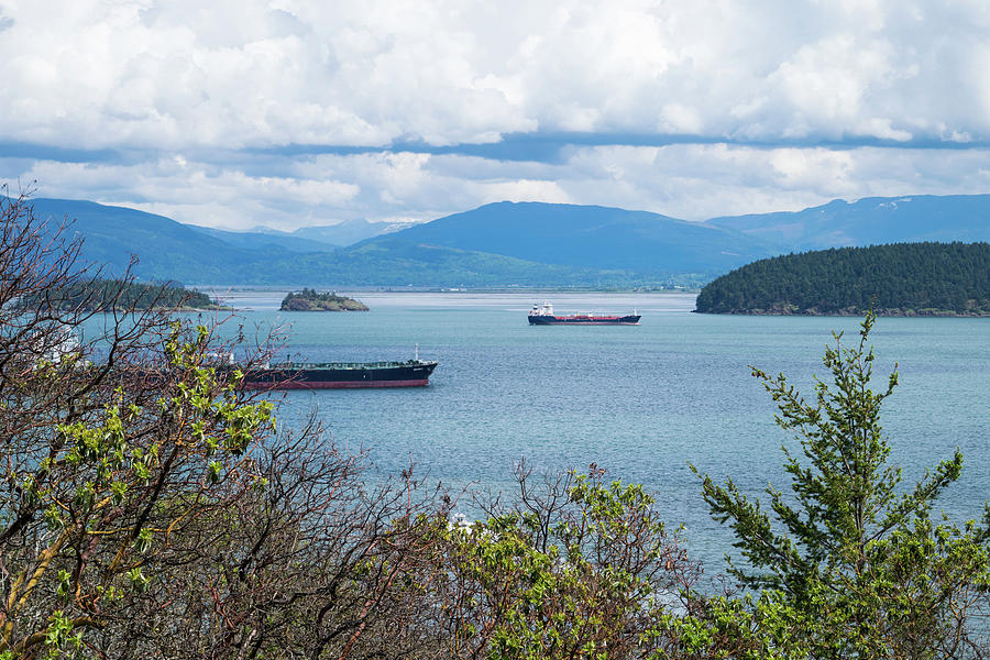 Tankers In Padilla Bay Photograph by Tom Cochran