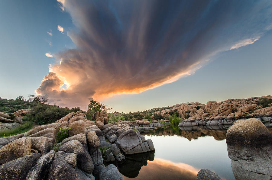The Eye Photograph by Matt Halvorson