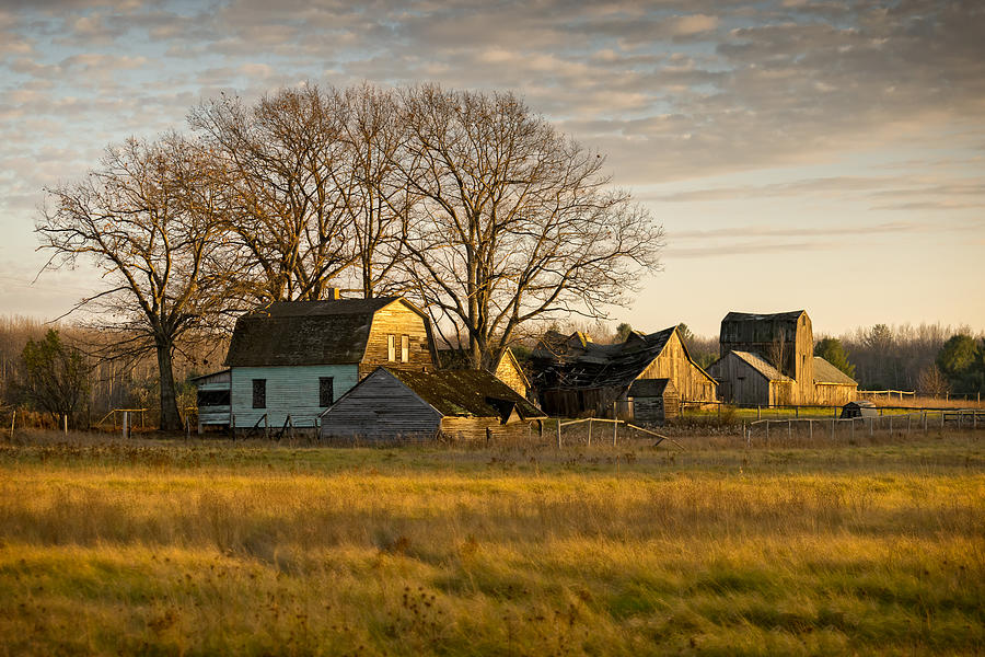 The Homestead Photograph by Steve LItalien
