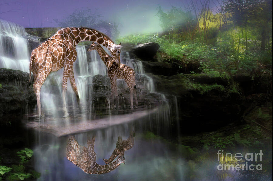 The Magical Bond #2 Digital Art by Mary Lou Chmura