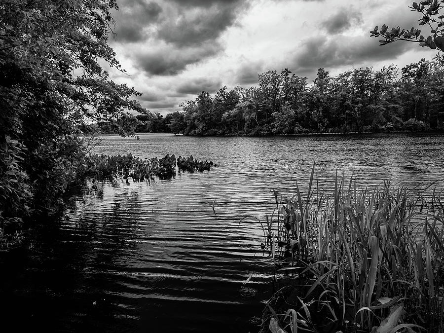 The Rancocas River Landscape Photograph by Louis Dallara