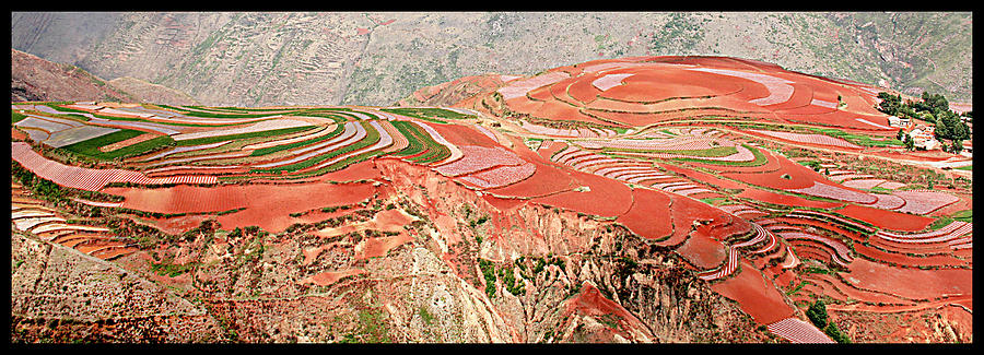 The Redlands, Yunnan, China Photograph by Marla Craven