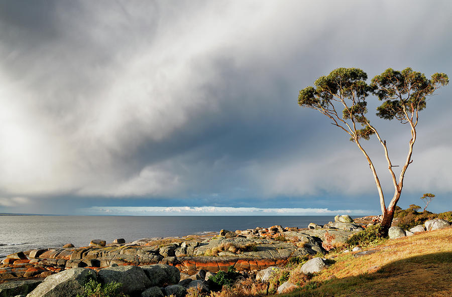 The Sea and the Sky Photograph by Nicholas Blackwell