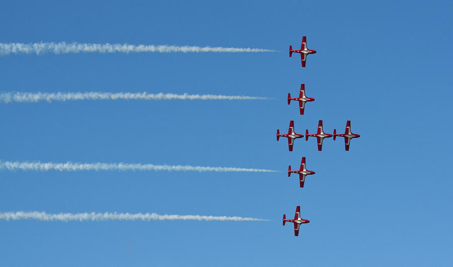 The Snowbirds Photograph by Tatiana Travelways