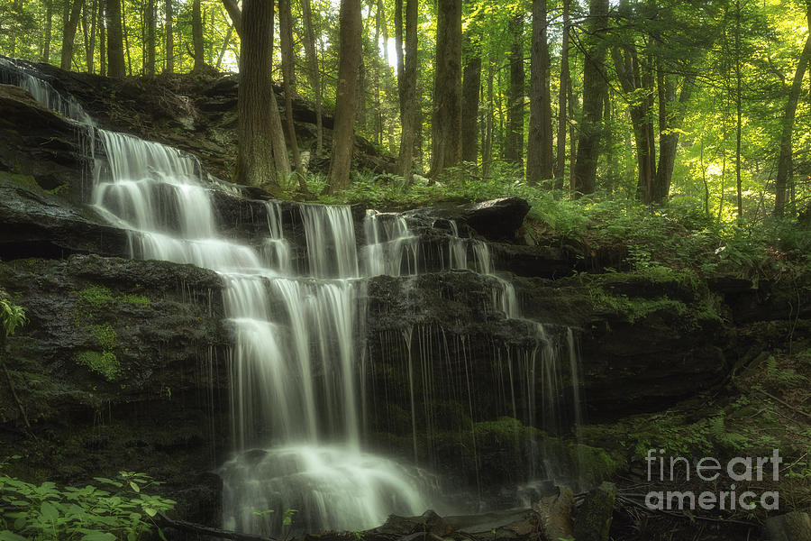 The Waterfall In The Forest Photograph by Mary Lou Chmura
