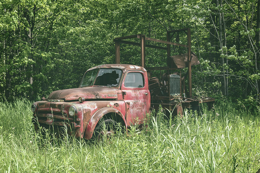 They call me Rusty Photograph by Steve LItalien
