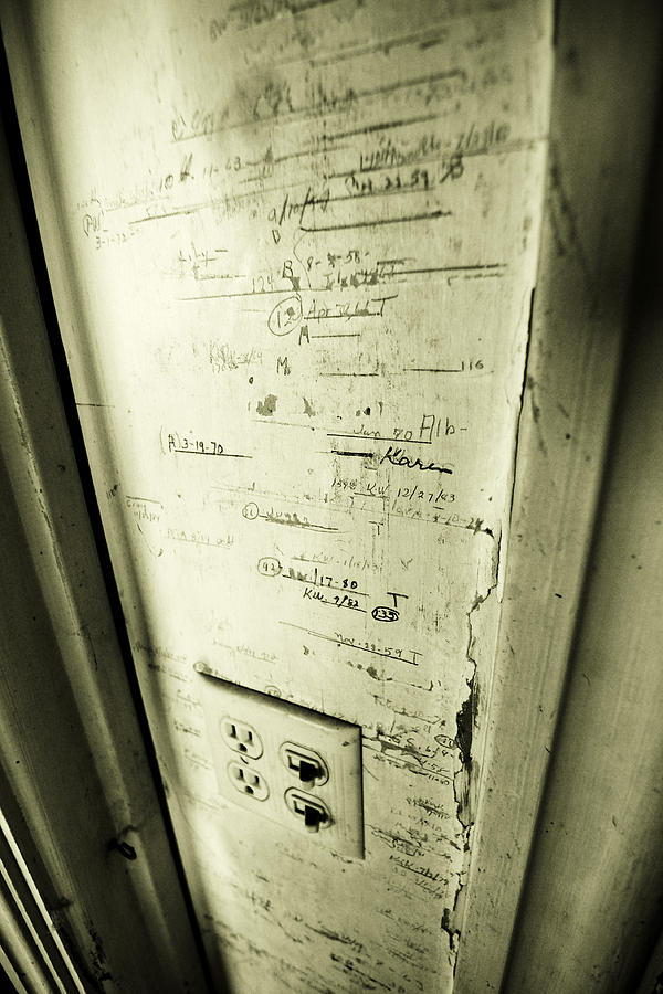 They Grow Up So Fast -- Abandoned House in Fresno County, California Photograph by Darin Volpe
