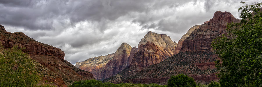Zion Photograph by Steve LItalien