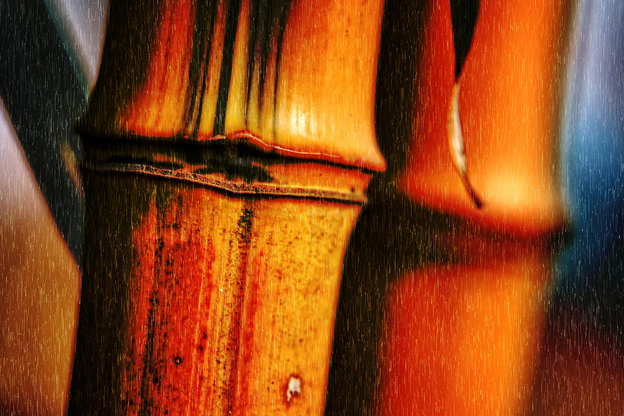 Touches 3 Photograph by Jaroslav Buna