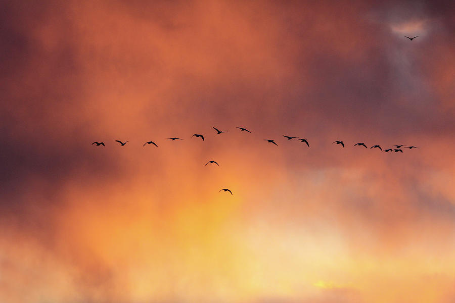 Towards the Sun Photograph by Marla Craven