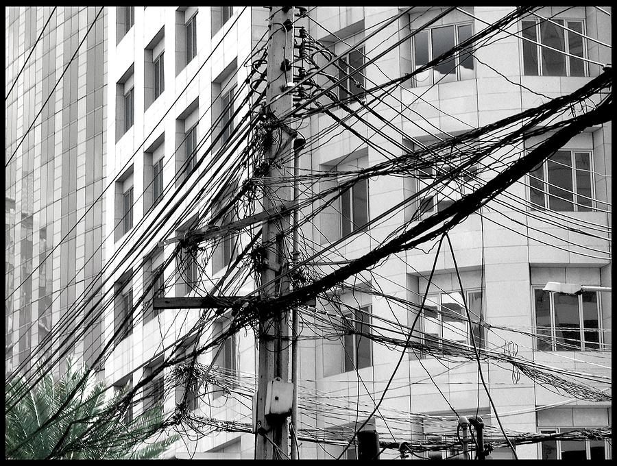 Tree of Progress Photograph by Steven Robiner