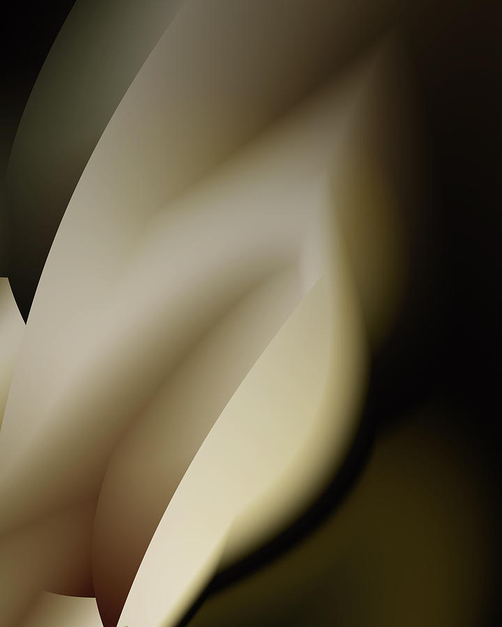 Tulip Digital Art by Vic Eberly