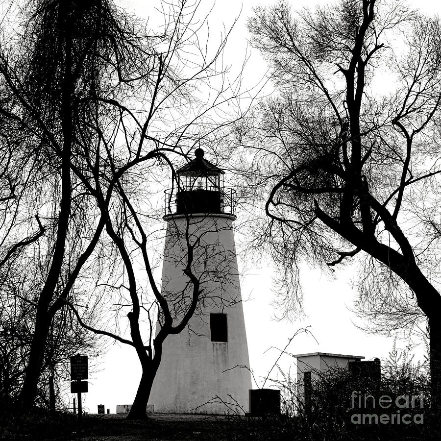Lighthouse Through Winter Trees Photograph - Turkey Point Lighthouse by Olivier Le Queinec