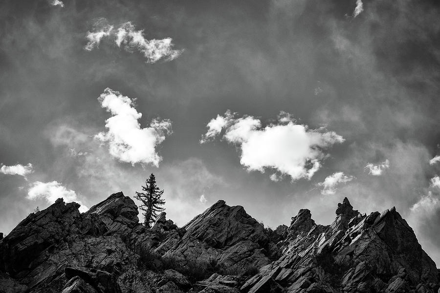 Tusas Canyon New Mexico Photograph by Mary Lee Dereske