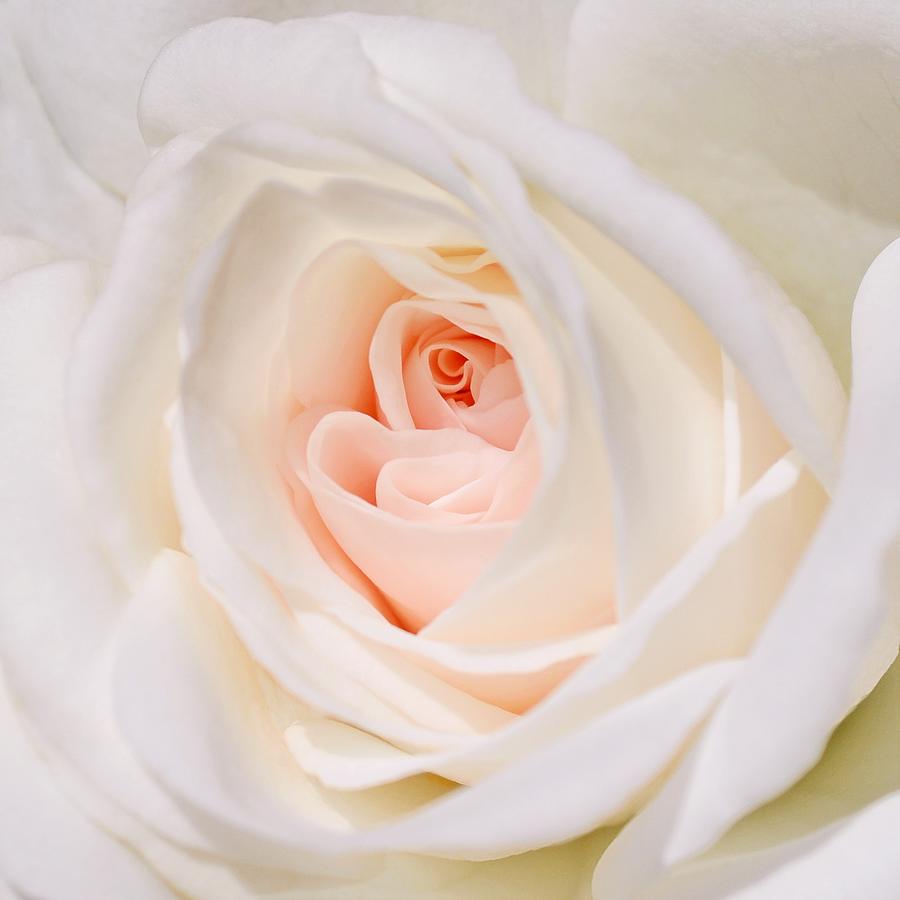 Two Photograph by KJ Swan