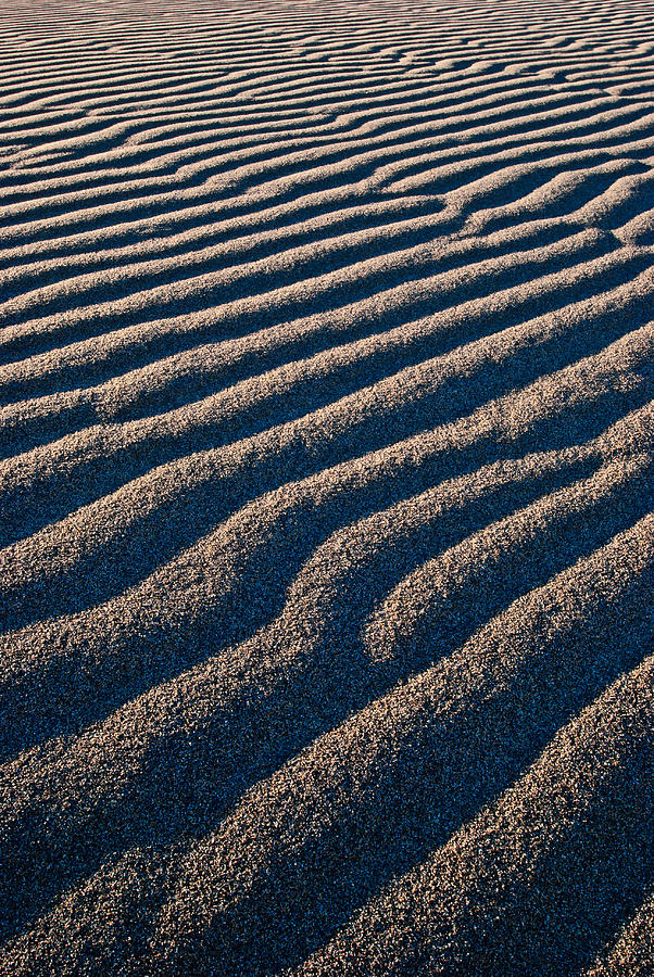 Untouched Photograph by Matt Halvorson