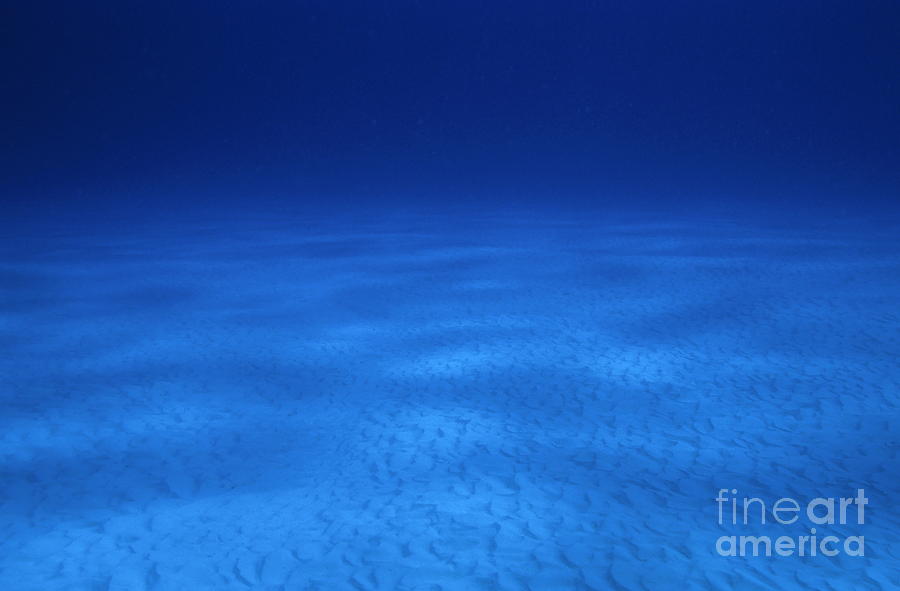 Serene Ocean Floor Photograph - Vast sandy ocean floor and blue waters by Sami Sarkis Photography