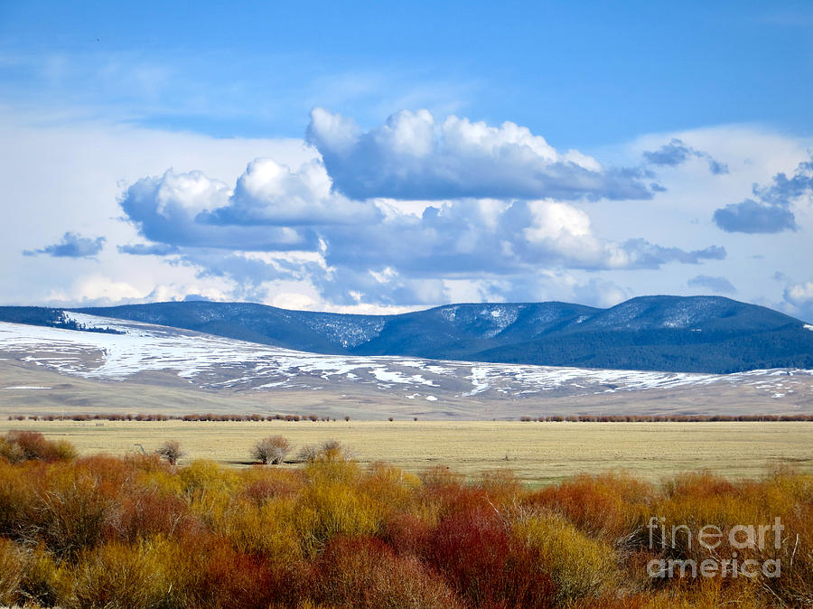 Vibrant Montana Photograph by Rachel Morrison