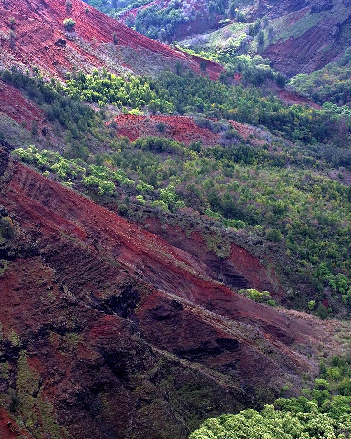 Waimea Canyon II Photograph by Kenneth Campbell